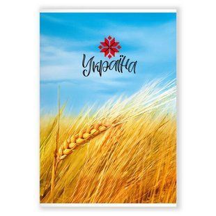 Блокнот м'яка обкл Полiграфiст А4 клітинка, 96 арк, Поле А4 96К 428 фото