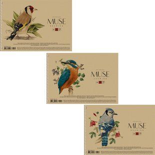 Альбом для змішаних технік MUSE А4 30 арк спіраль крафт PB-SC-030-310 фото