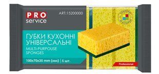Губки для посуду PROservice 10 х 7 х 3,5 см, 5 шт крупнопориста Professional 15200000 фото