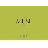 Альбом для екскiзiв MUSE PD-F4-040 А4+ 20р 100г/м2 папiр в папцi ВД лак