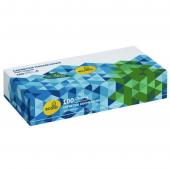 Серветки Ruta 58770407 2-х шар 100шт для облич. Ecolo